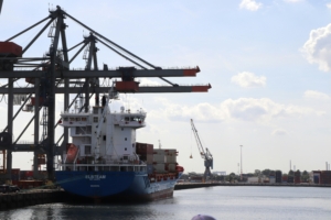 harbour biomed rotterdam