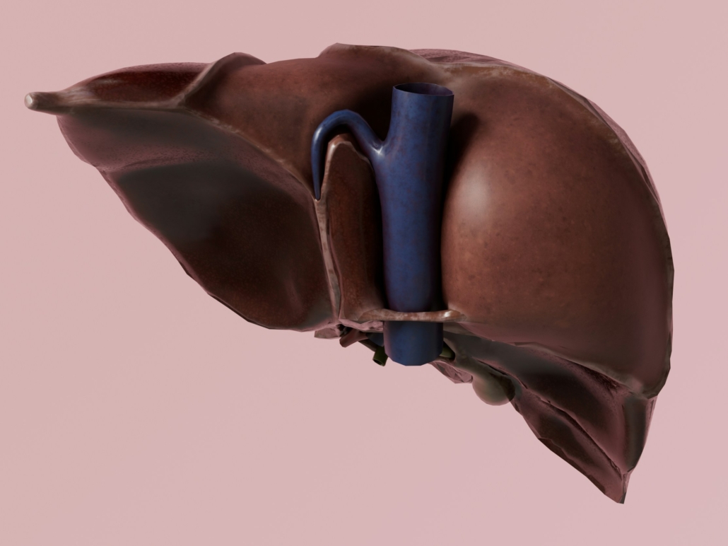 liver hepatitis B liver hepatitis B
