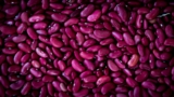 kidney disease