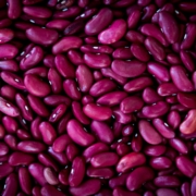 kidney disease