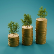 money tree