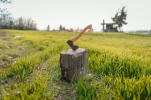 axe