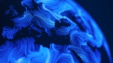 Europe network market