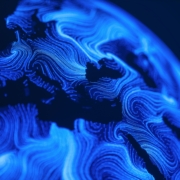 Europe network market