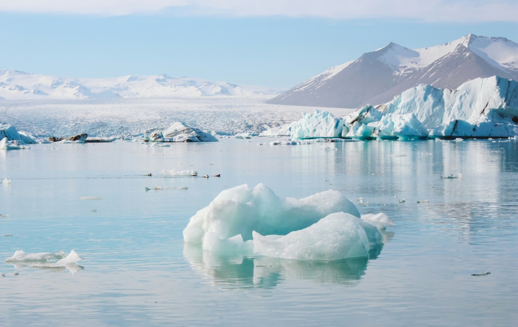 arctic