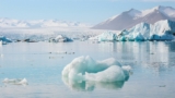 arctic