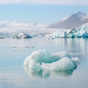 arctic