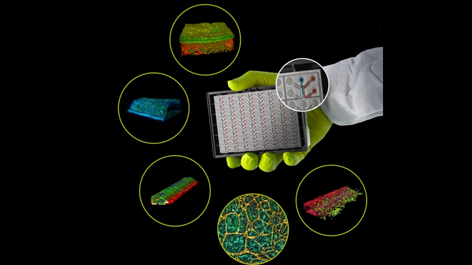 Variety of organoid and lab-on-chip systems
