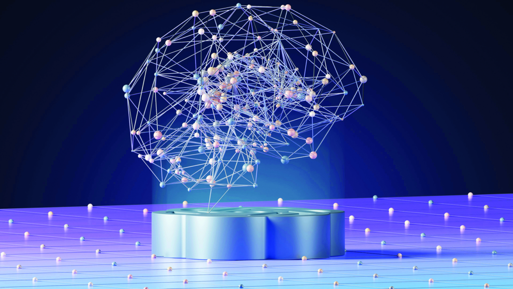 brain network connections