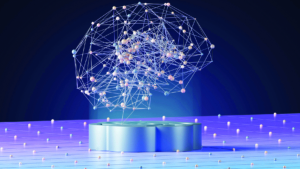 brain network connections