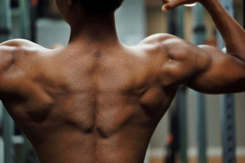 muscle building exercise