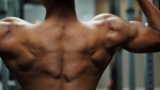 muscle building exercise