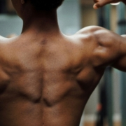 muscle building exercise