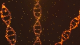 DNA molecule abstract
