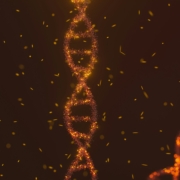 DNA molecule abstract DNA molecule abstract