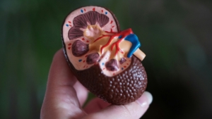 kidney disease