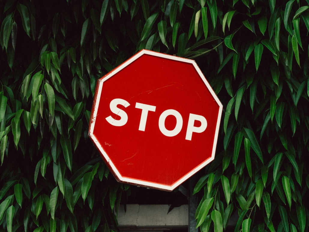stop sign in tree