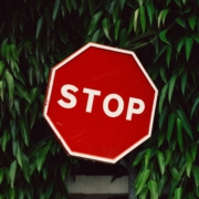 stop sign in tree
