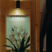 Matisse painting under light