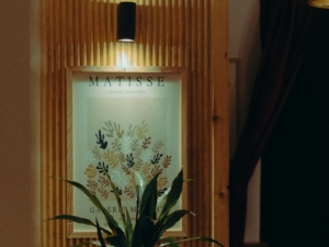 Matisse painting under light
