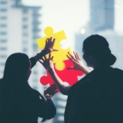 combination puzzle dual action