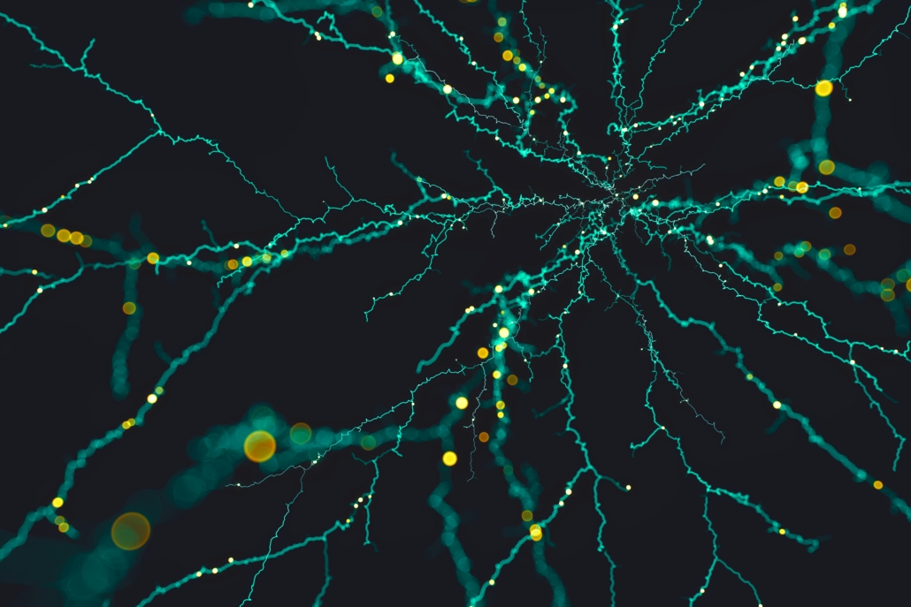network brain cells neurons network brain cells neurons
