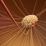 blood brain barrier delivery