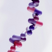 DNA RNA pill drug
