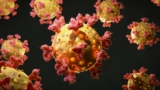 Cell therapy