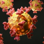 Cell therapy