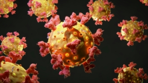 Cell therapy