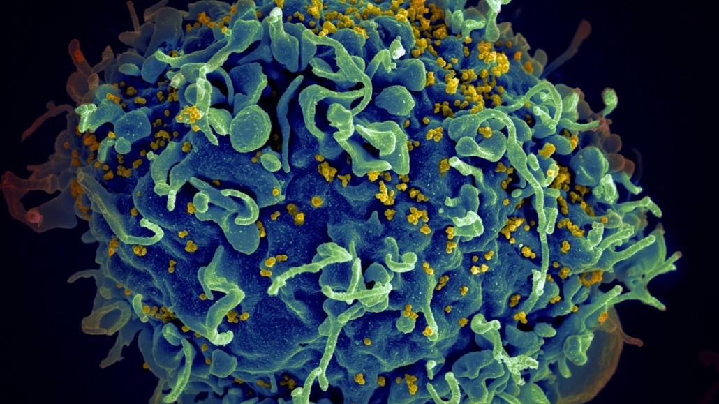 national-cancer-institute-cI8T6zeDbZw-unsplash Photo by National Cancer Institute via Unsplash+