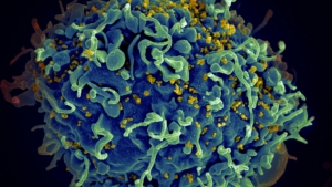 Photo by National Cancer Institute via Unsplash+